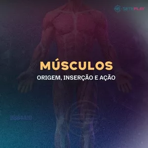 Imagem de capa para o Curso online Curso Músculos: Origem, inserção e ação