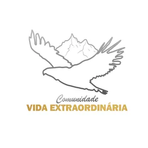 Imagem de capa para o Curso online Comunidade V/E