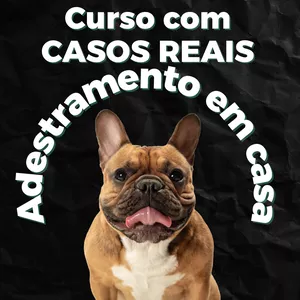 Curso Adestramento em casa - Casos reais