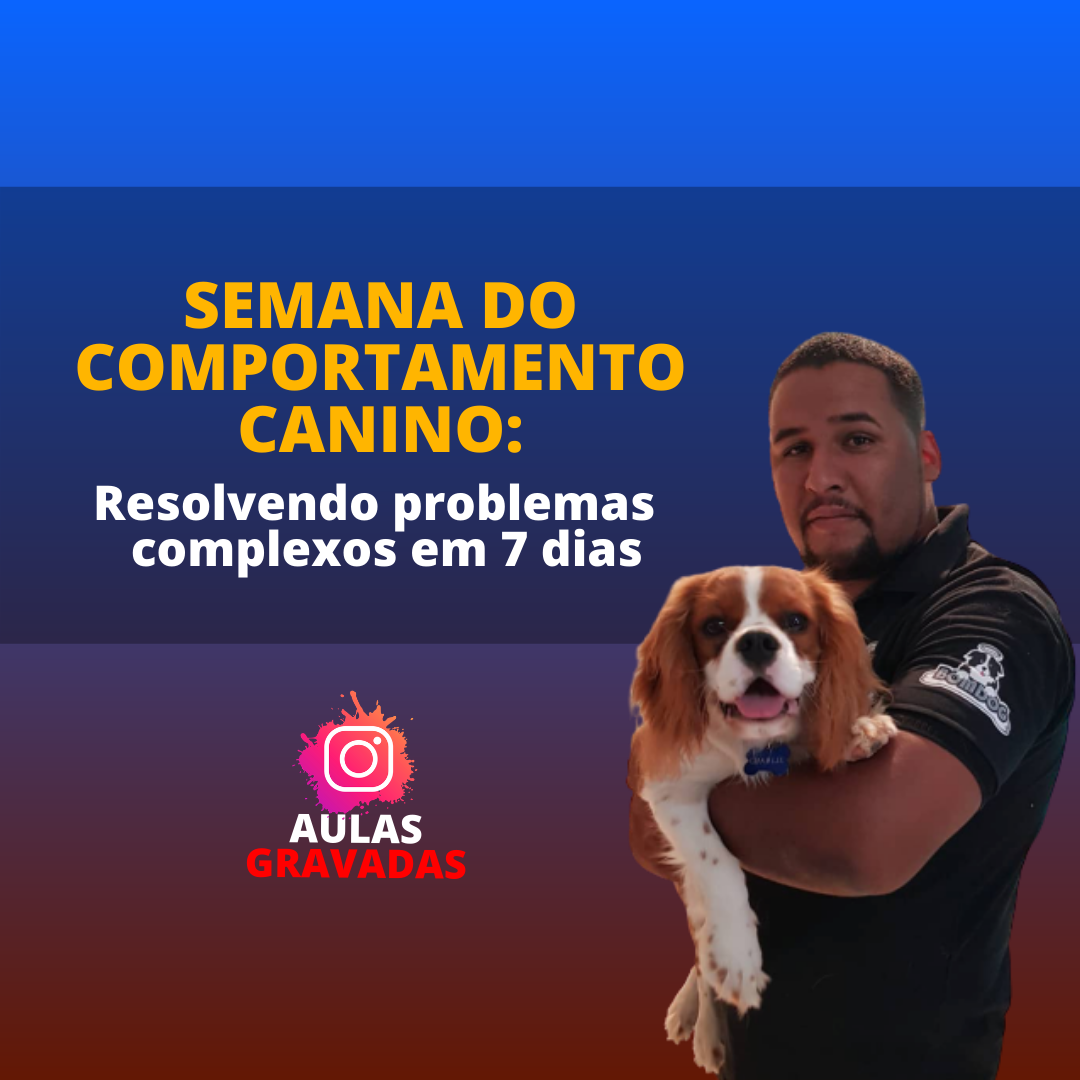 Imagem do curso Semana do Comportamento Canino - Resolvendo problemas complexos em 7 dias
