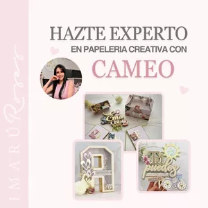 Imagen de portada para Curso online PROMOCIÓN Aprende y Emprende con Silhouette Cameo Modo Ultra Plus y Hagamos un kit de fiesta. (cp)