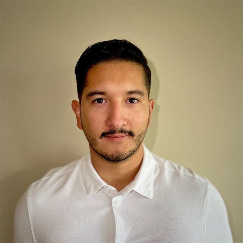 Emmanuel Román, Consultor de sistemas para finanzas