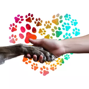 Imagen de portada para Ebook ¿Lo estoy haciendo bien? - Diagnóstico Rápido: ¿Por qué mi perro sigue fallando?