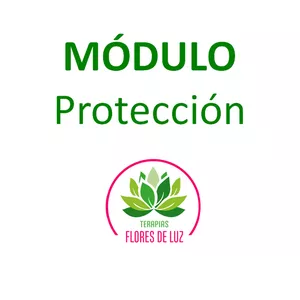 Imagen de portada para Curso online Cómo Proteger tu Energía