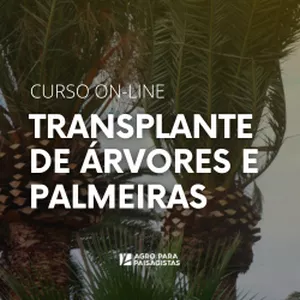 Imagem de capa para o Curso online Curso On-line TRANSPLANTE DE ÁRVORES E PALMEIRAS