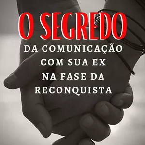 Imagem de capa para o Curso online Segredos da Comunição com a Ex na Reconquista