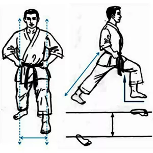 Imagem do curso Karatê Base - Transição em Zenkutsu 