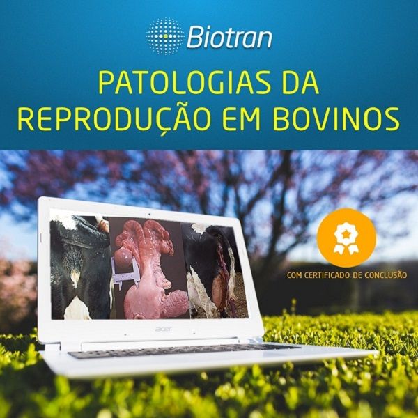 Capa do curso 