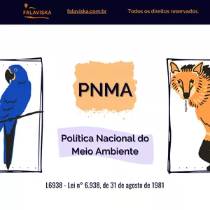 Imagem de capa para o Ebook Resumo Visual da PNMA (Política Nacional do Meio Ambiente) + Bônus: 50 questões