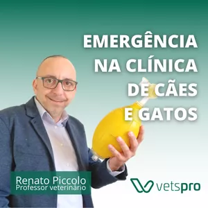 Imagem de capa para o Curso online Emergência na clínica de cães e gatos