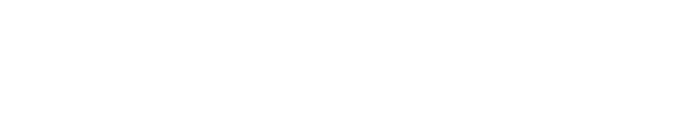 Wall Street Vision logo