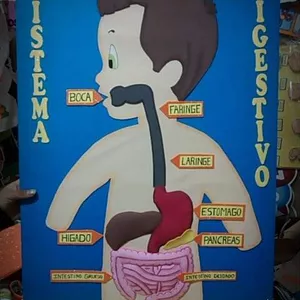 Imagem principal do produto Envejecimiento del sistema digestivo
