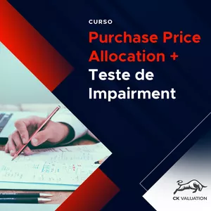 Imagem de capa para o Curso online Purchase Price Allocation (PPA) e Teste impairment