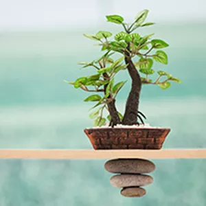 Imagem de capa para o Ebook Meditação simples na Escola