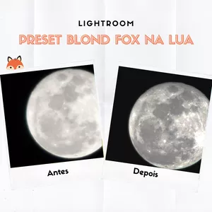 Imagem de capa para o Curso online Preset Blond Fox na Lua