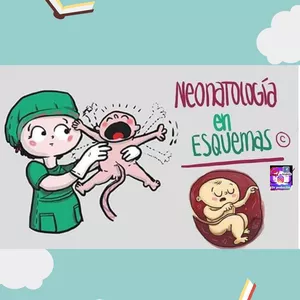 Imagem principal do produto Apuntes de neonatologia