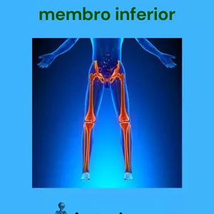 Imagem de capa para o Ebook Descomplicando a anatomia dos ossos do membro inferior