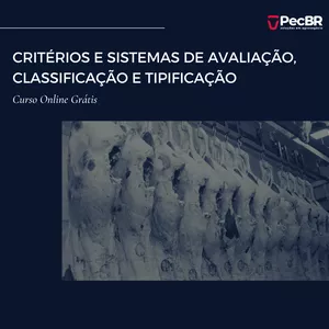 Imagem de capa para o Curso online CRITÉRIOS E SISTEMAS DE AVALIAÇÃO, CLASSIFICAÇÃO E TIPIFICAÇÃO