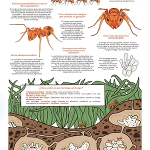 Imagen de portada para Ebook Explora la naturaleza y sus maravillas ocultas