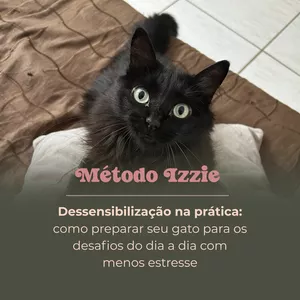 Imagem de capa para o Curso online Masterclass Método Izzie | Dessensibilização na prática