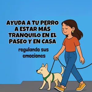 Imagen de portada para Ebook Más tranquilo en el paseo y en casa 