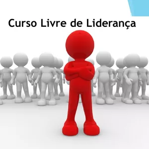 Imagem de capa para o Curso online Curso Livre de Liderança