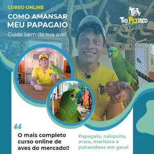 Imagem de capa para o Curso online Como Amansar Meu Papagaio
