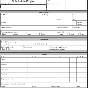 plantilla de solicitud de empleo