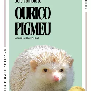 Imagem de capa para o Ebook Guia Completo | Hedgehog - Ouriço Pigmeu Africano
