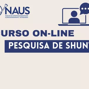 Imagem de capa para o Curso online Curso On-line de Pesquisa de Shunt