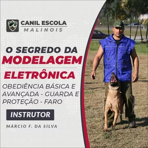 Imagem do curso O SEGREDO DA MODELAGEM ELETRÔNICA