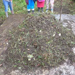 Imagen de portada para Curso online Abonos 