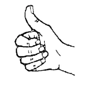 Imagem de capa para o Curso online Curso Online Língua Gestual Portuguesa A1