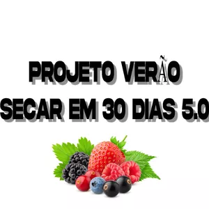 Imagem de capa para o Ebook Projeto Verão Secar 30 dias 5.0