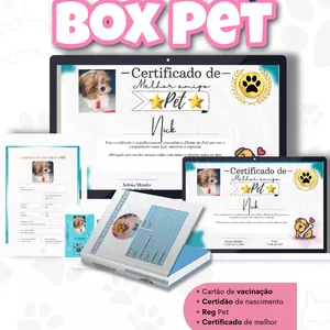 Imagem de capa para o Curso online Box Pet