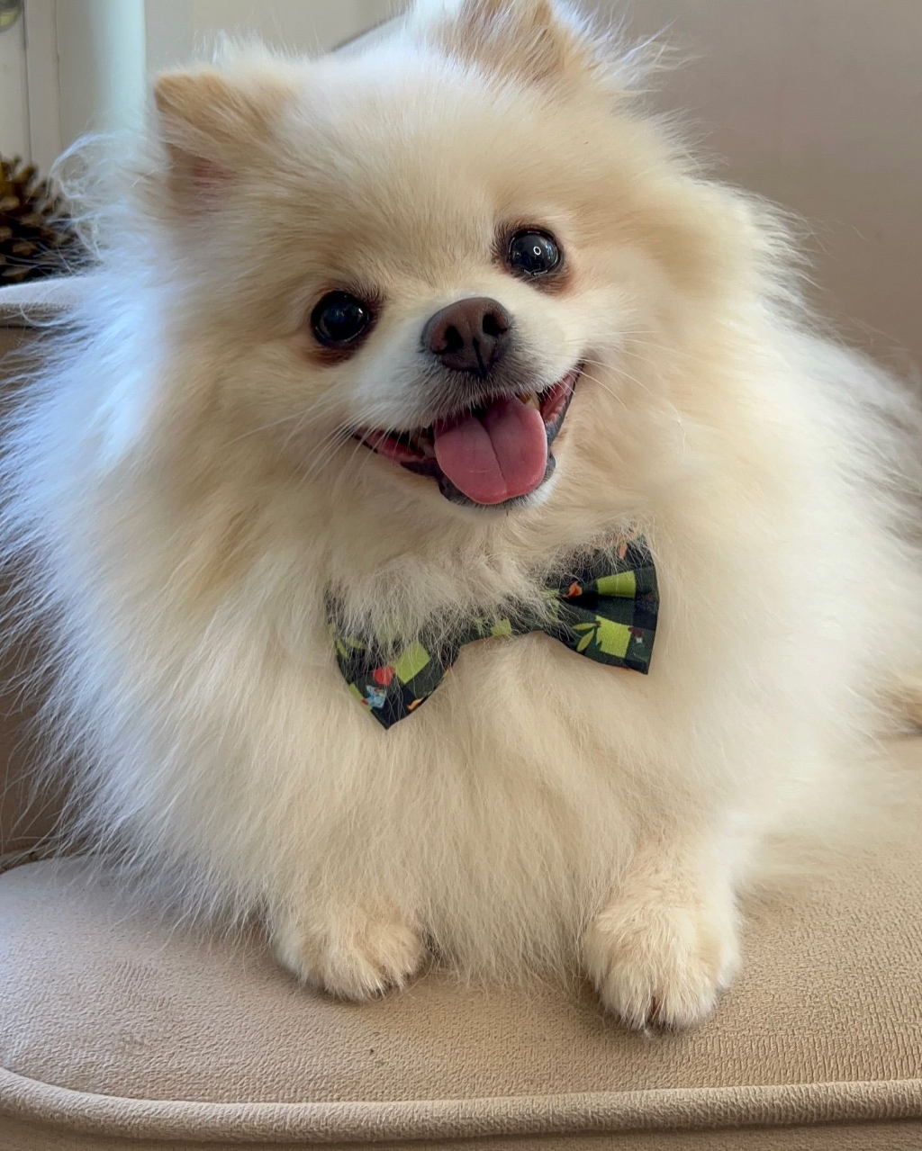 Mateo