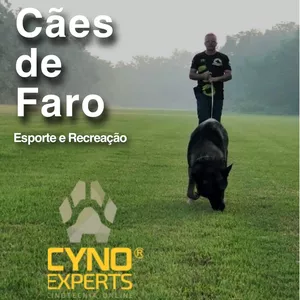 Imagem de capa para o Curso online Cães de Faro - Esporte e Recreação