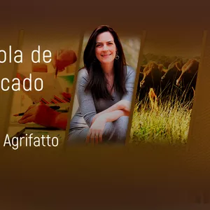 Imagem de capa para o Curso online Escola de Mercado