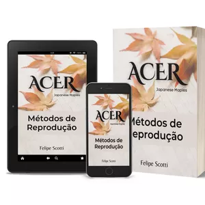 Imagem de capa para o Curso online Métodos de Reprodução de Acer - Aulas em vídeo