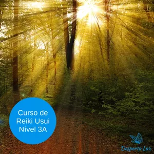 Imagem de capa para o Curso online Curso de Reiki Usui Nível 3A 