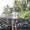 Jen Rulon