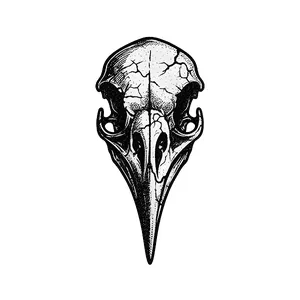 Imagem de capa para o Curso online SilensClub