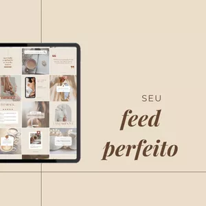 Imagem de capa para o Curso online FEED PERFEITO!