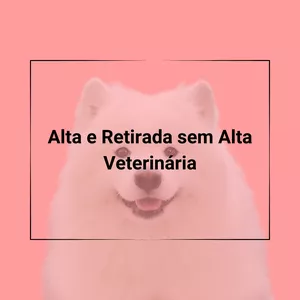 Imagem de capa para o Ebook Contratos Veterinários - Alta e Retirada sem Alta