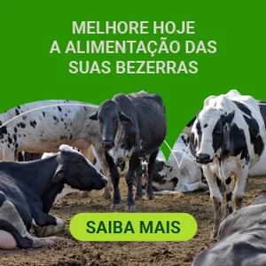 Imagem de capa para o Curso online SILAGEM DE COLOSTRO: CONHEÇA TODOS OS BENEFÍCIOS DESSE PRODUTO 