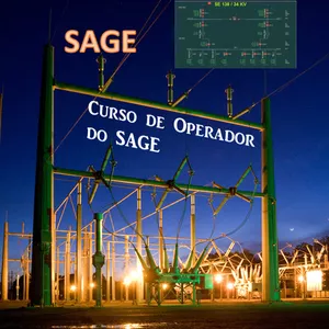 Imagem de capa para o Curso online CURSO DE OPERADOR DO SAGE