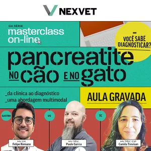 Imagem de capa para o Curso online Masterclass de Pancreatite em cães e gatos