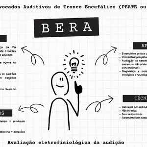 Imagem de capa para o Ebook BERA - MAPA MENTAL