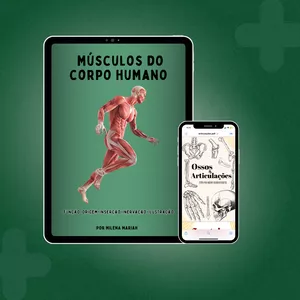 Imagem de capa para o Ebook APOSTILA COM TODOS OS MÚSCULOS DO CORPO HUMANO + EBOOK OSSOS E ARTICULAÇÕES.