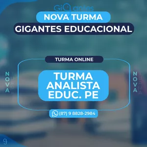 Imagem de capa para o Curso online GIGANTES ONLINE - TURMA ANALISTA PE